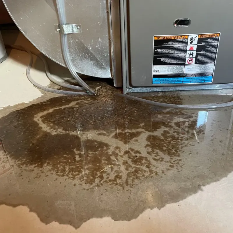 Pipe Burst and Leak Restoration in Baltimore County, MD